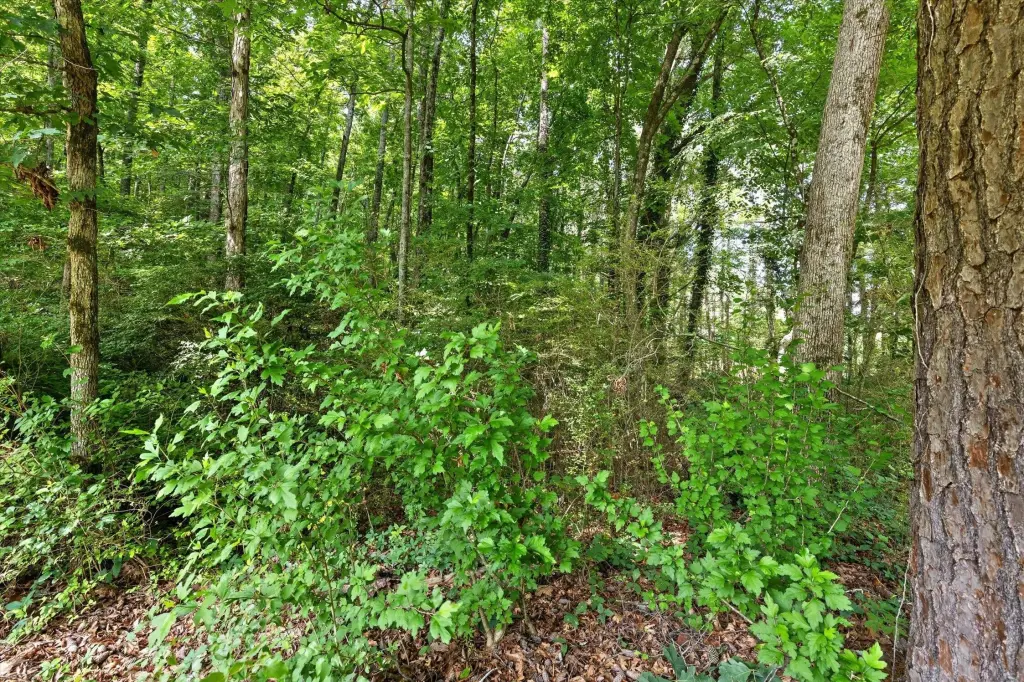 Picture 20