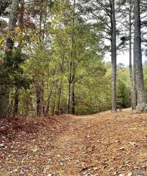Trussville Acreage Near City Amenities