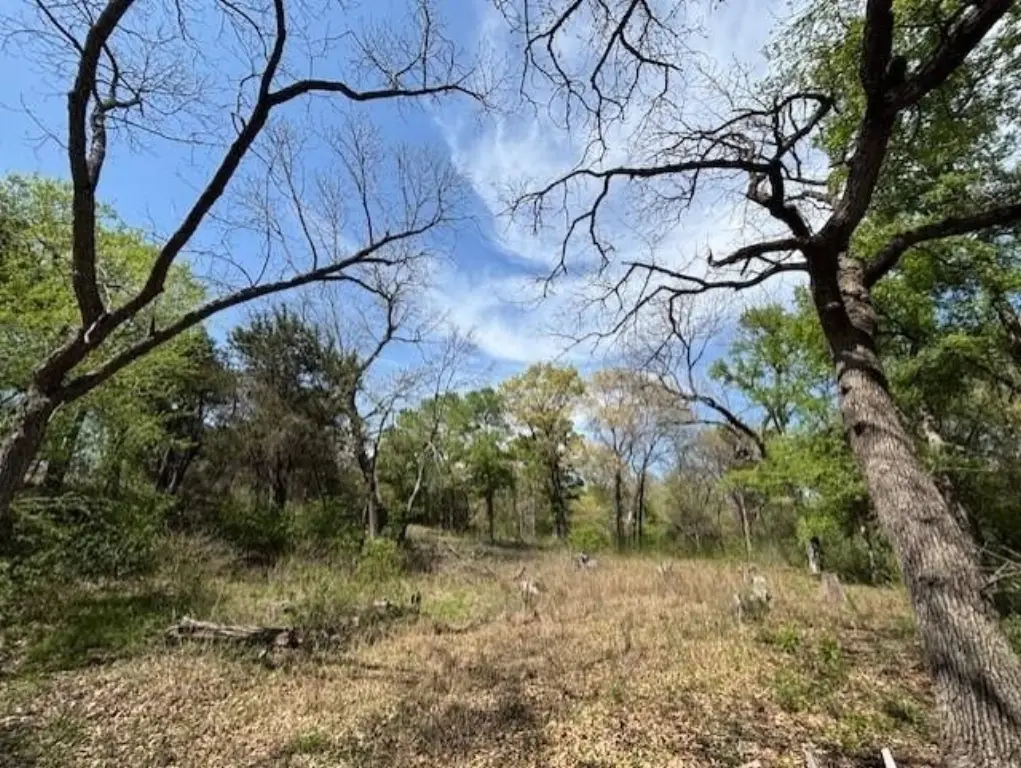 Picture 13