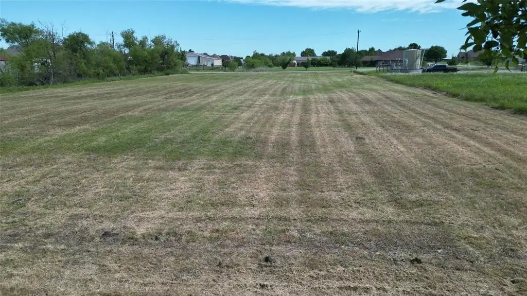 Picture 19