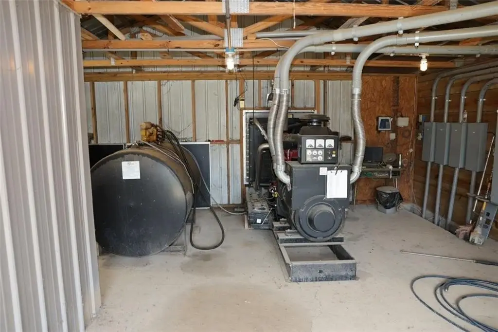 Picture 19
