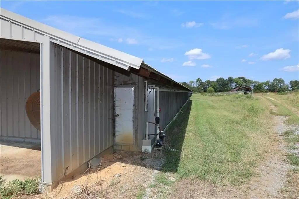 Picture 21