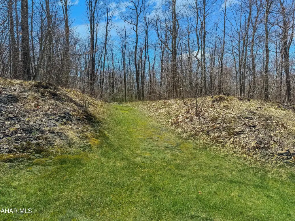 Picture 4