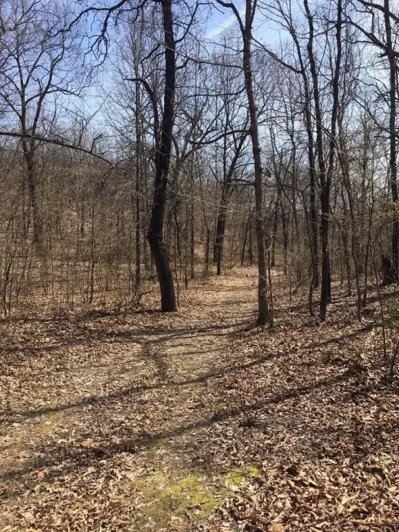 Picture 14
