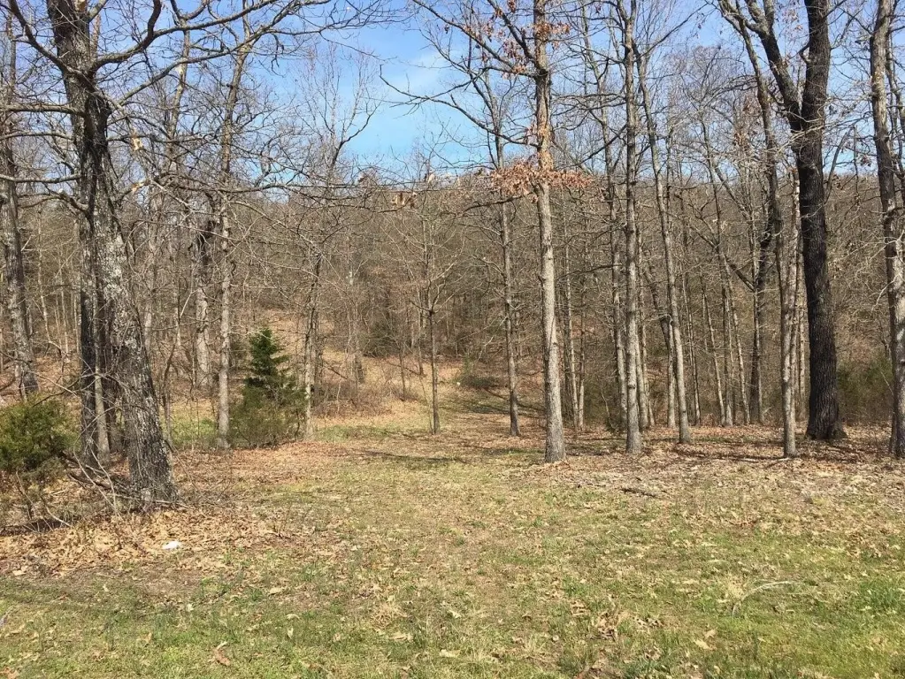 Picture 6