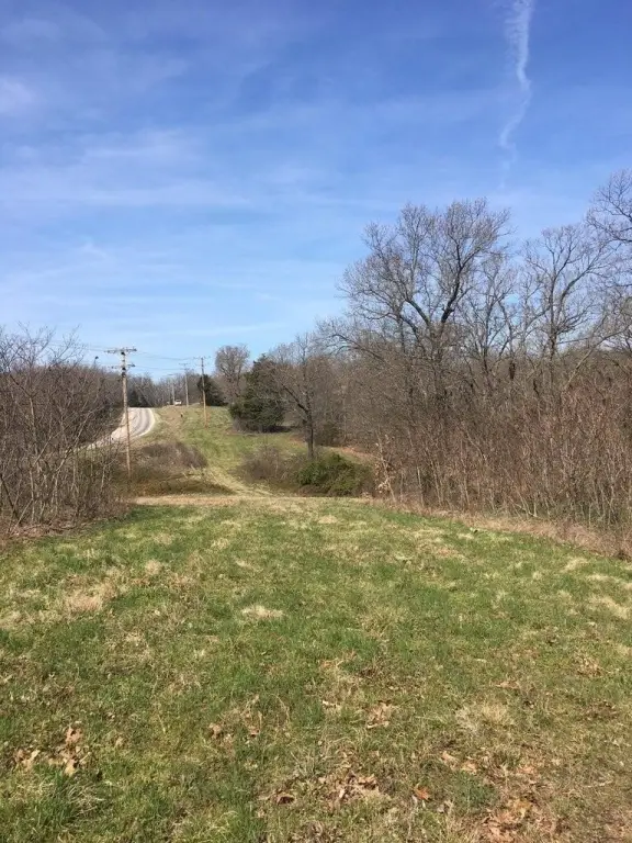 Picture 20