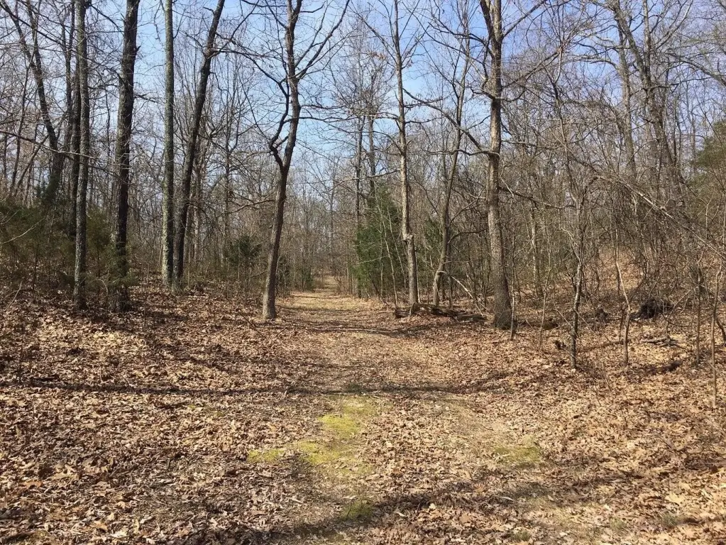 Picture 13