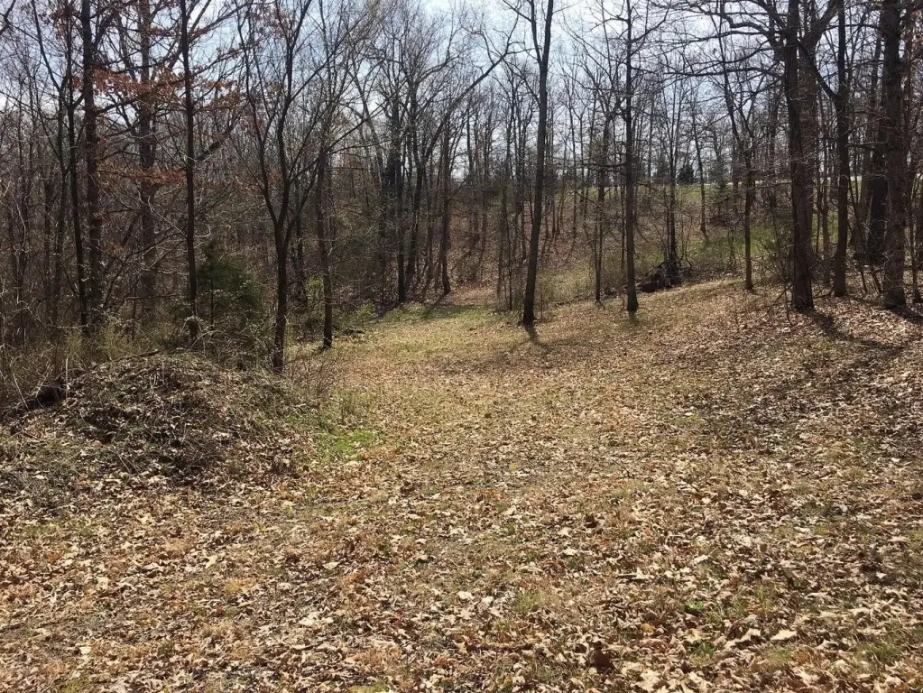 Picture 17
