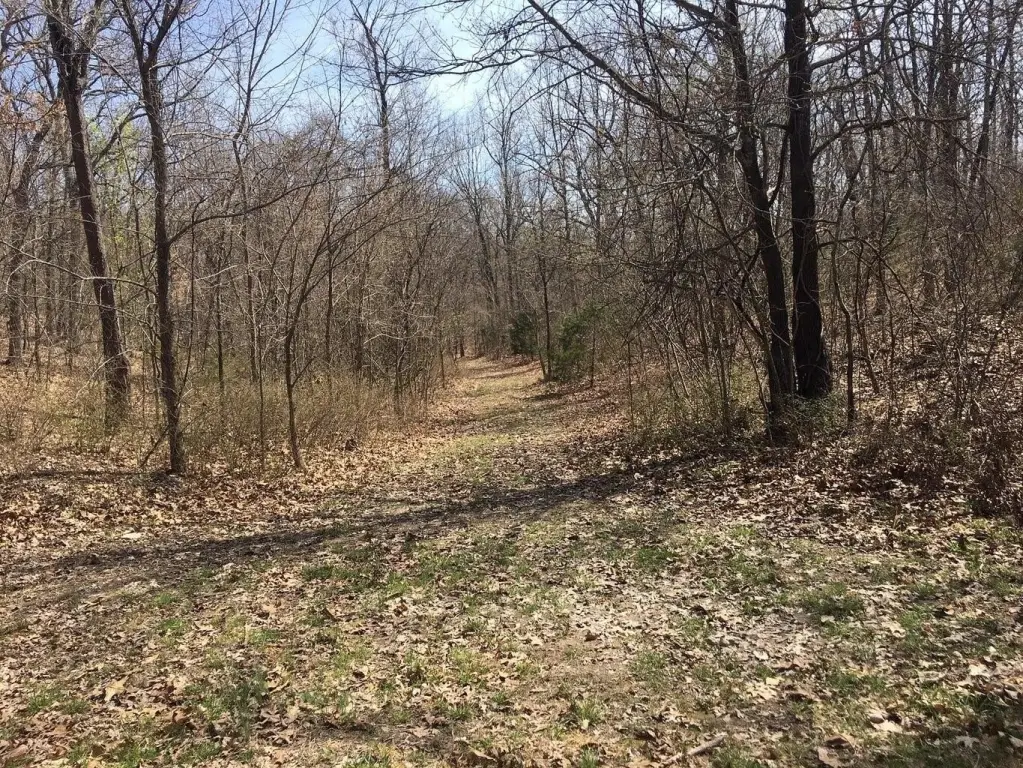 Picture 15