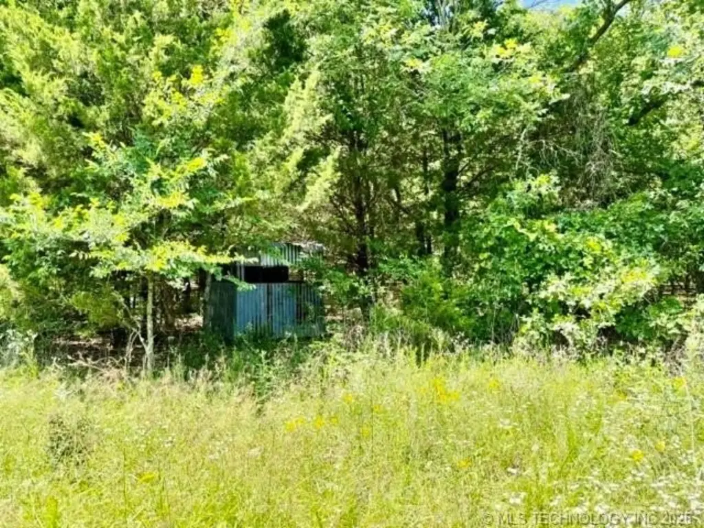 Picture 6