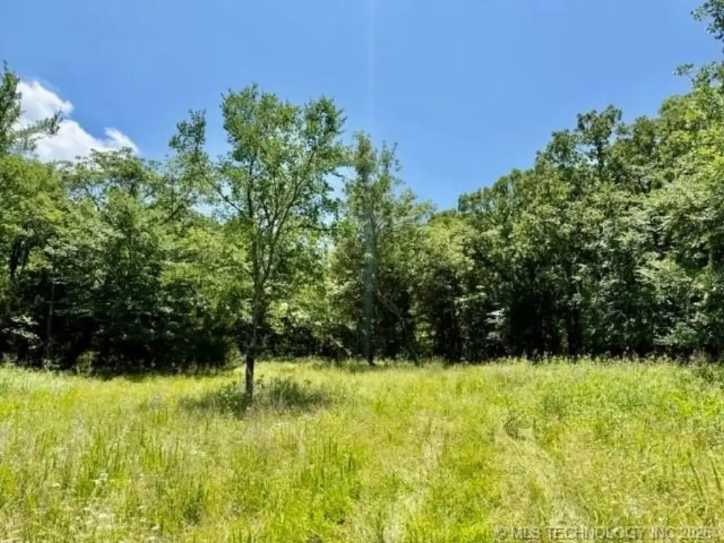 Picture 7
