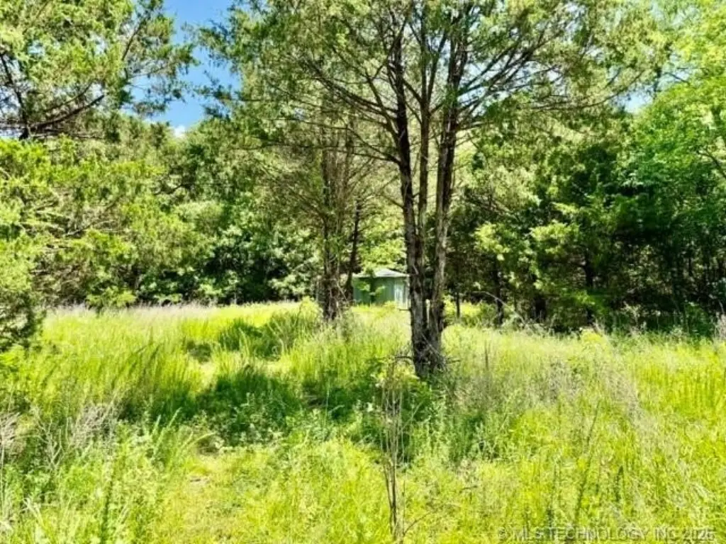 Picture 9