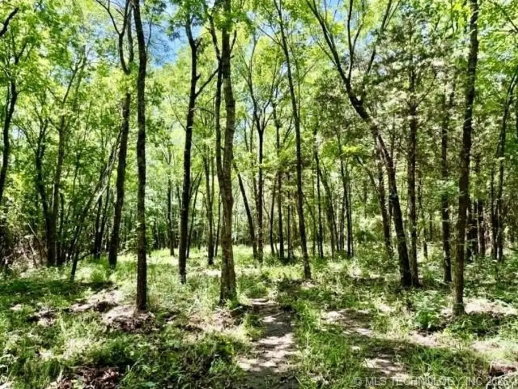 Picture 8