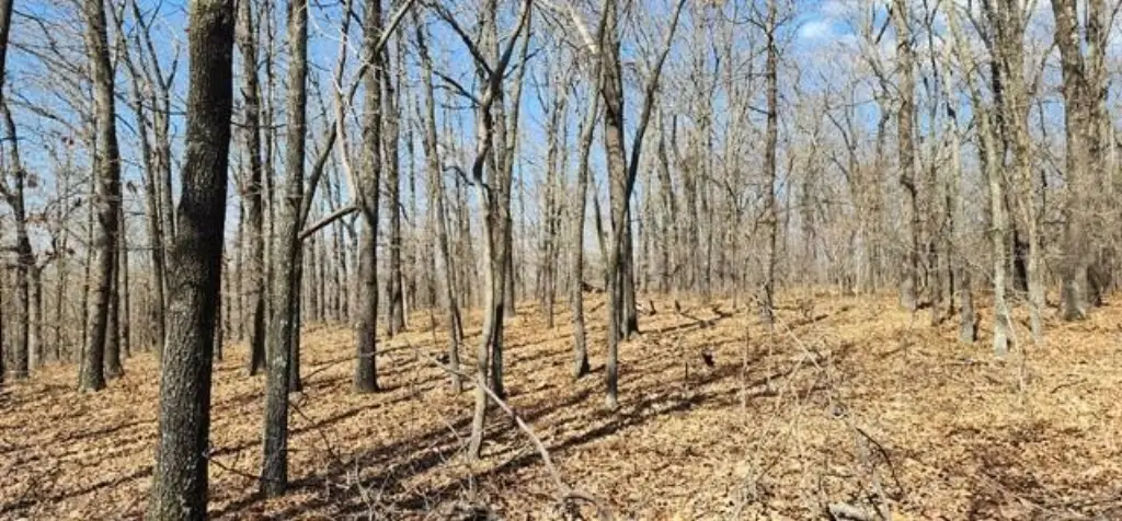 Picture 9