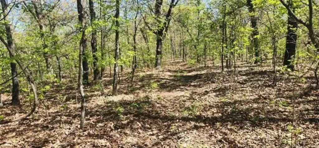 Picture 4