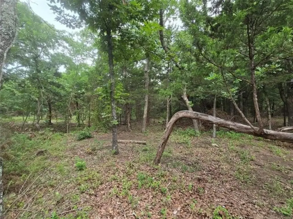 Picture 5