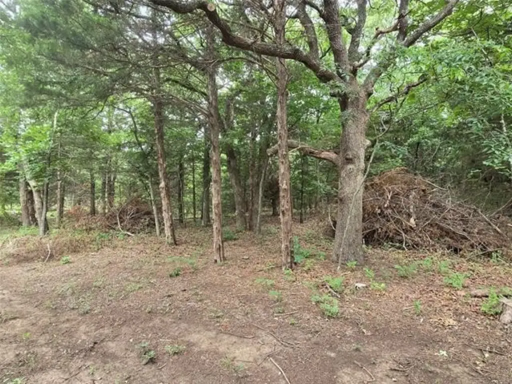 Picture 8