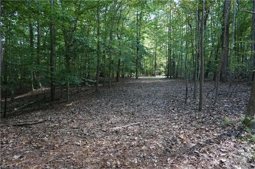 Picture 12