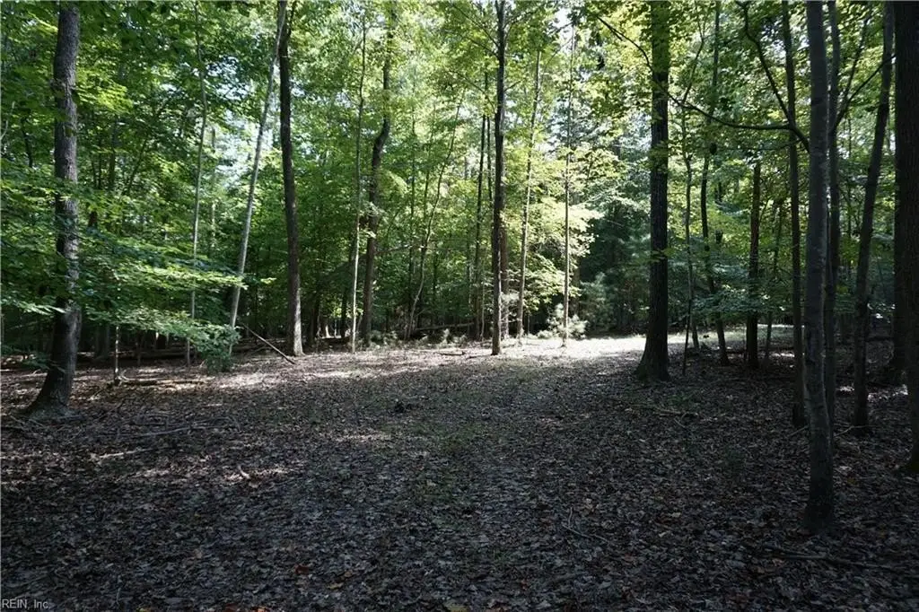 Picture 10