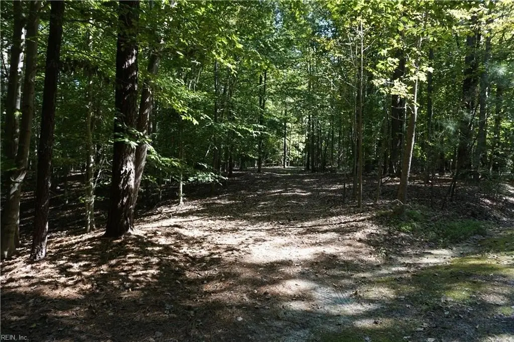 Picture 9