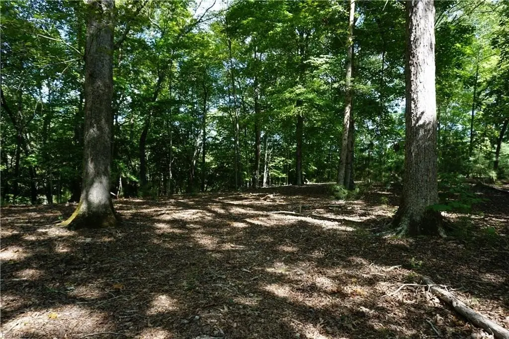 Picture 13