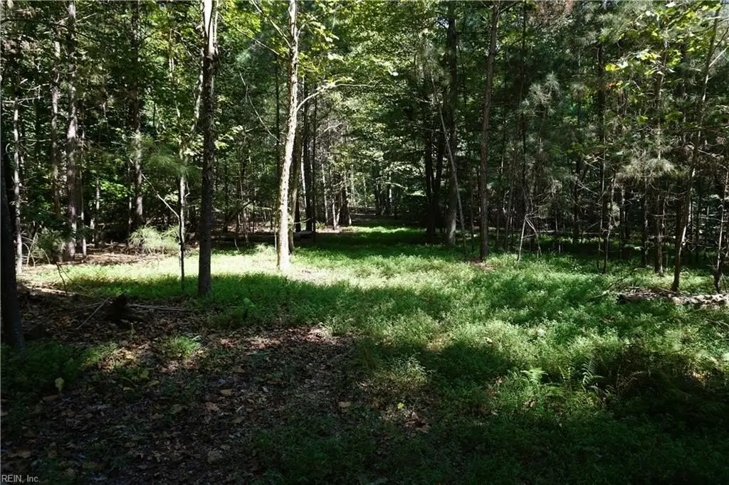 Picture 11
