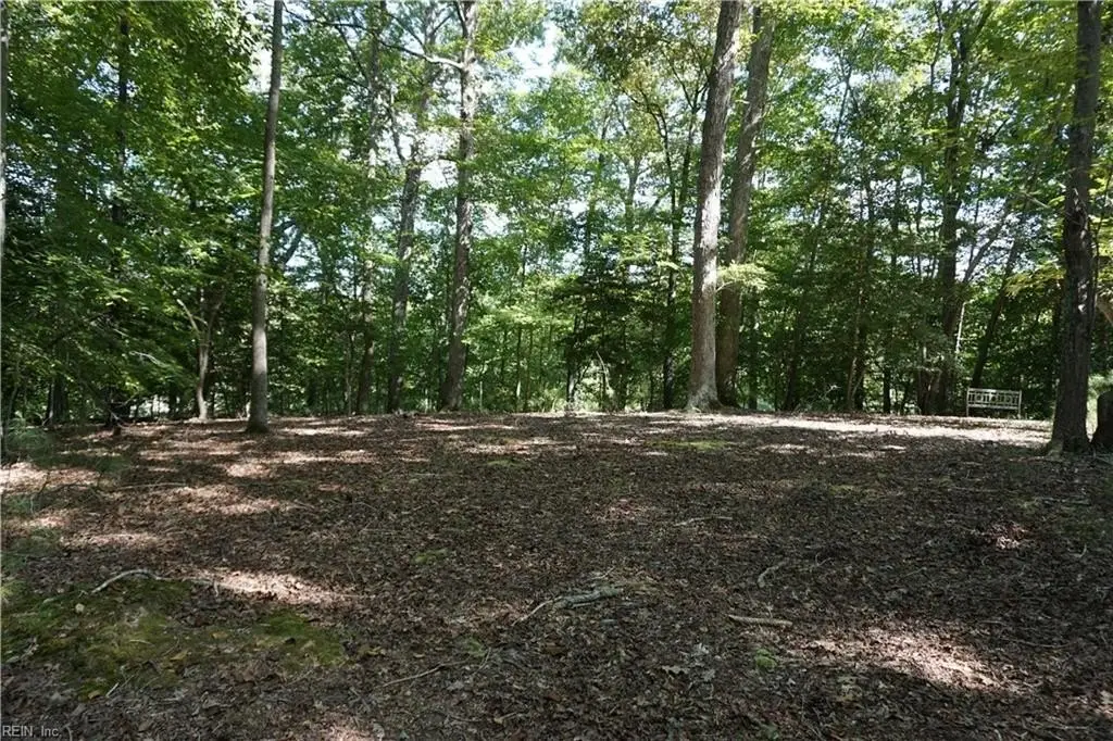 Picture 14