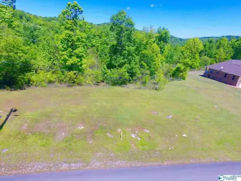 Guntersville Land with Lake Views