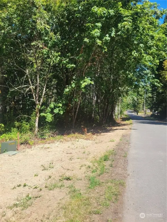 Picture 17
