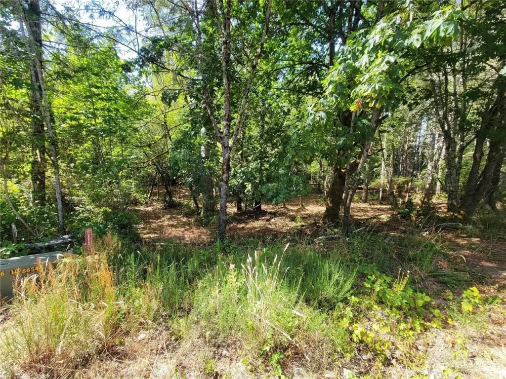 Picture 24