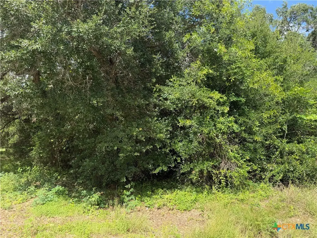 Picture 6