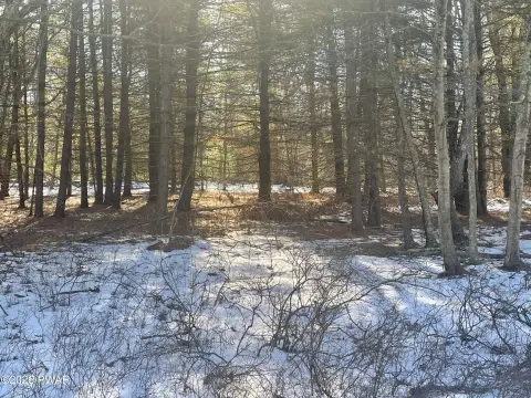 Secluded Wooded Parcel in Lackawaxen