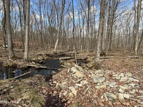 Poconos Land with Creek