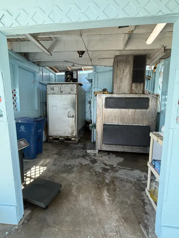 Picture 16
