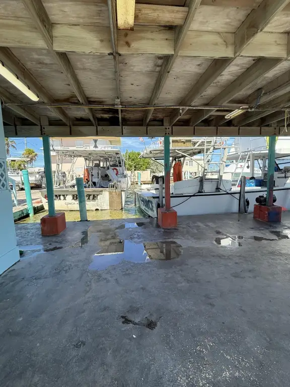 Picture 15