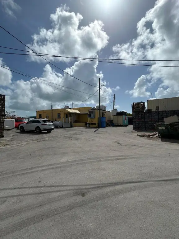 Picture 12