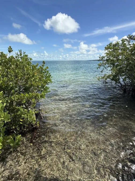 Picture 20