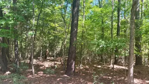 Land in Sutton Hills