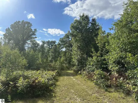 Hunting Land with Planted Trees