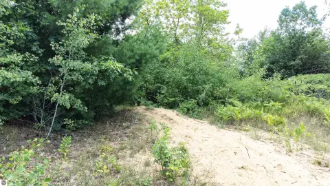 Cadillac Vacant Land Opportunity