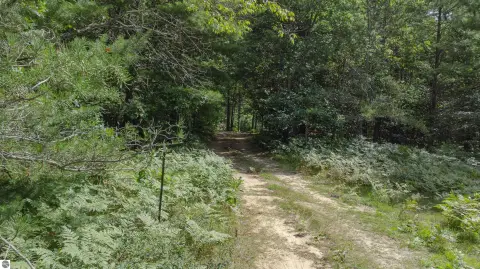 Wooded Land Parcel in Fife Lake