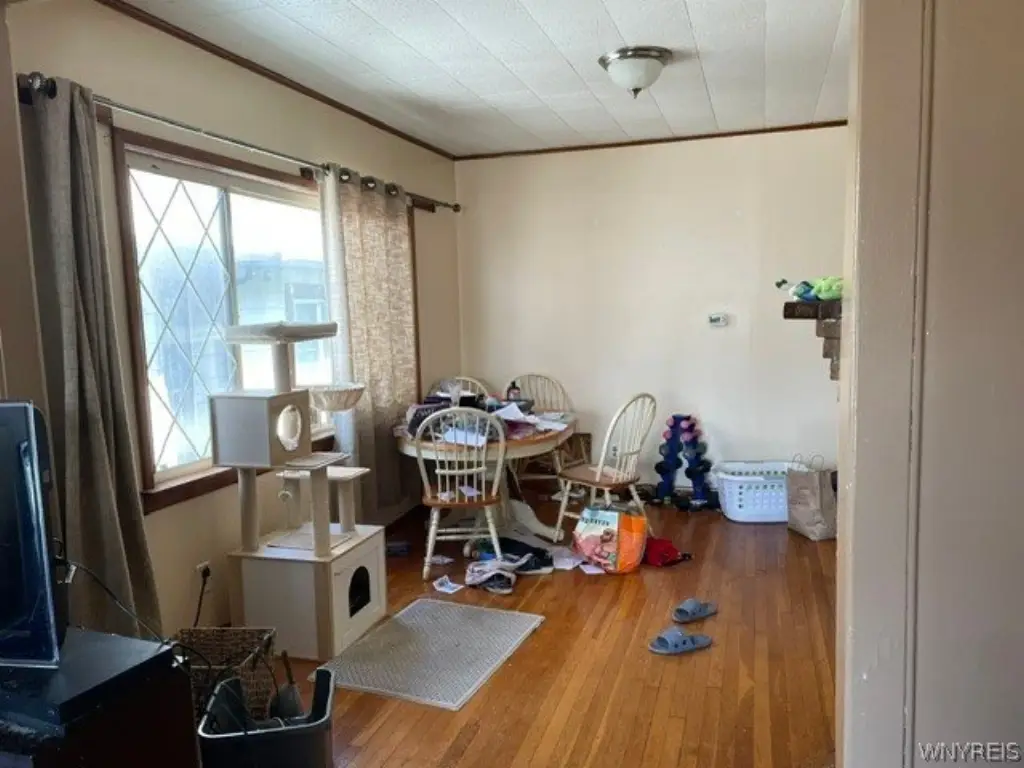 Picture 11