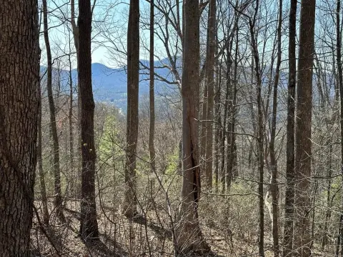 Young Harris Mountain View Lot