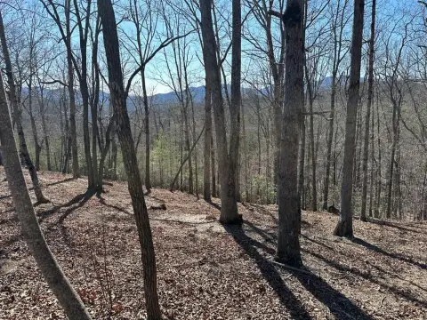 Mountain View Lot in Asheland