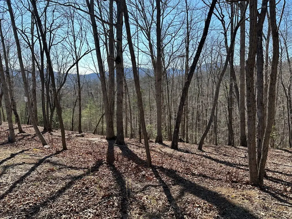 Picture 4