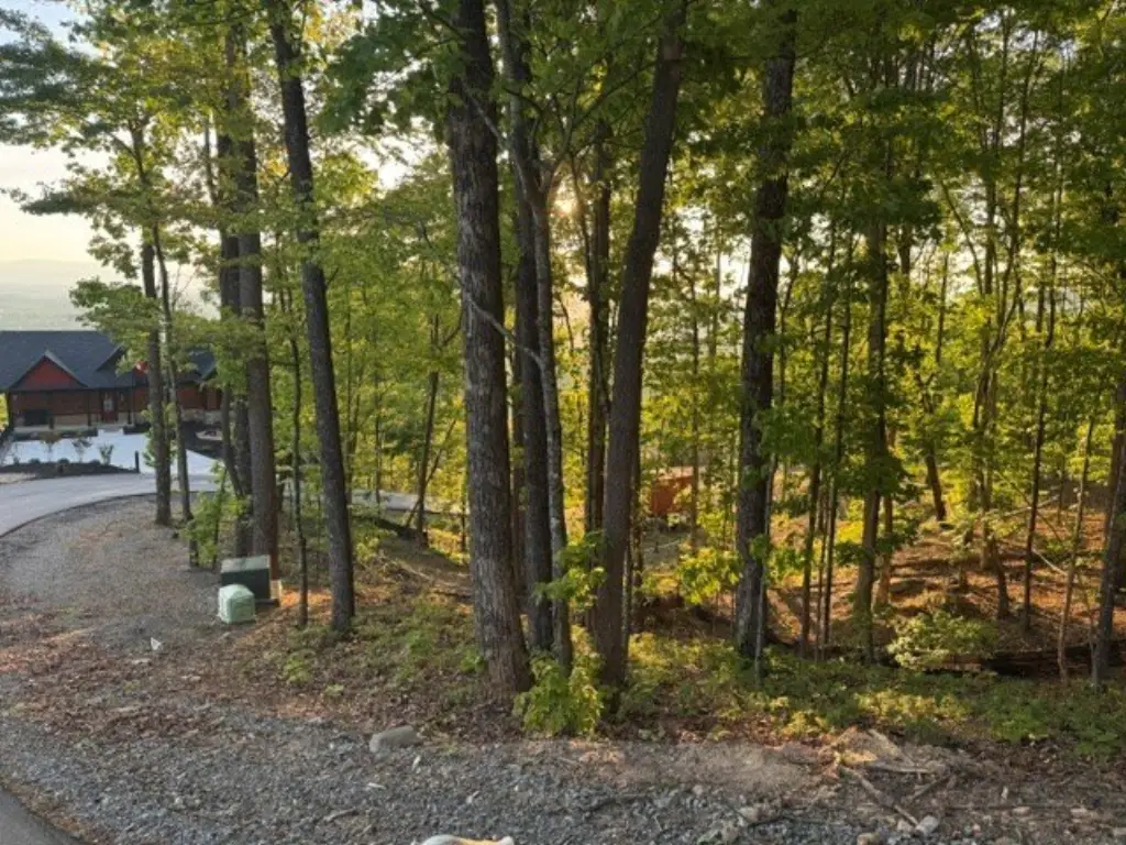 Picture 2