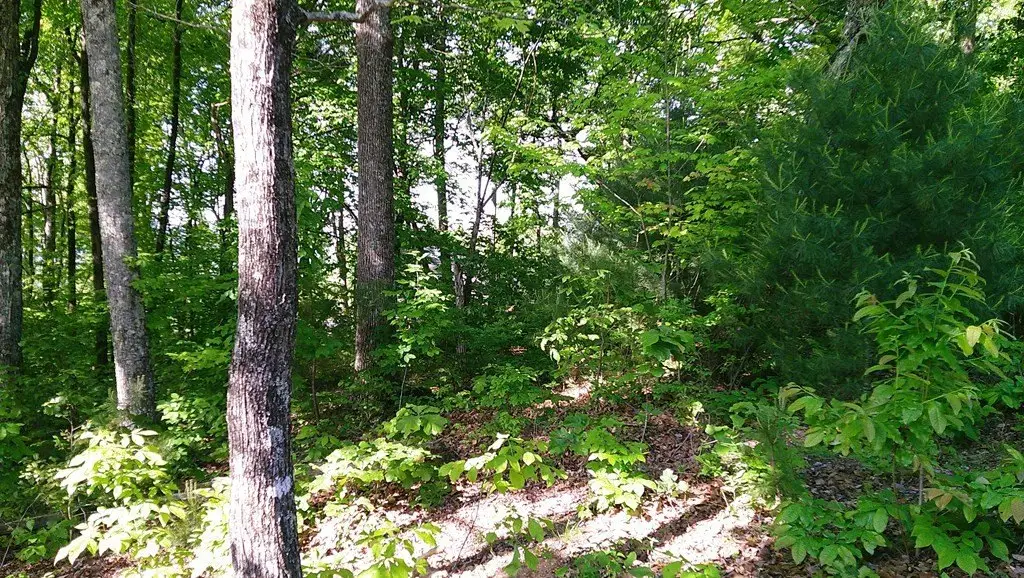 Picture 11