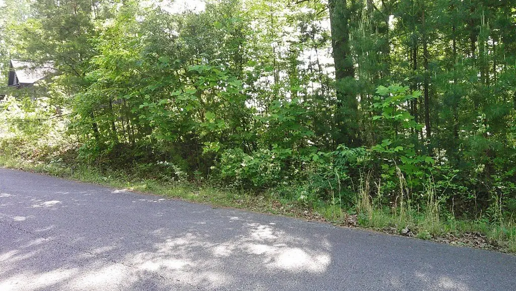 Picture 6