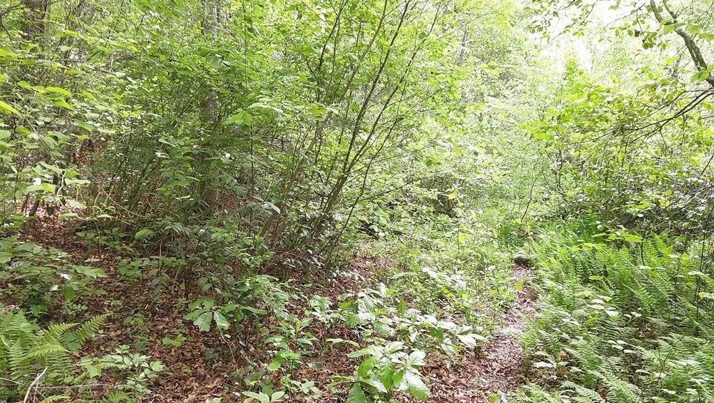 Picture 7