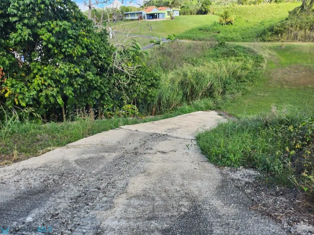 Picture 8